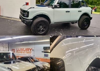 Dependable Clear Bra 1