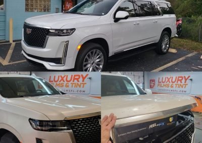 Reliable Clear Bra 1